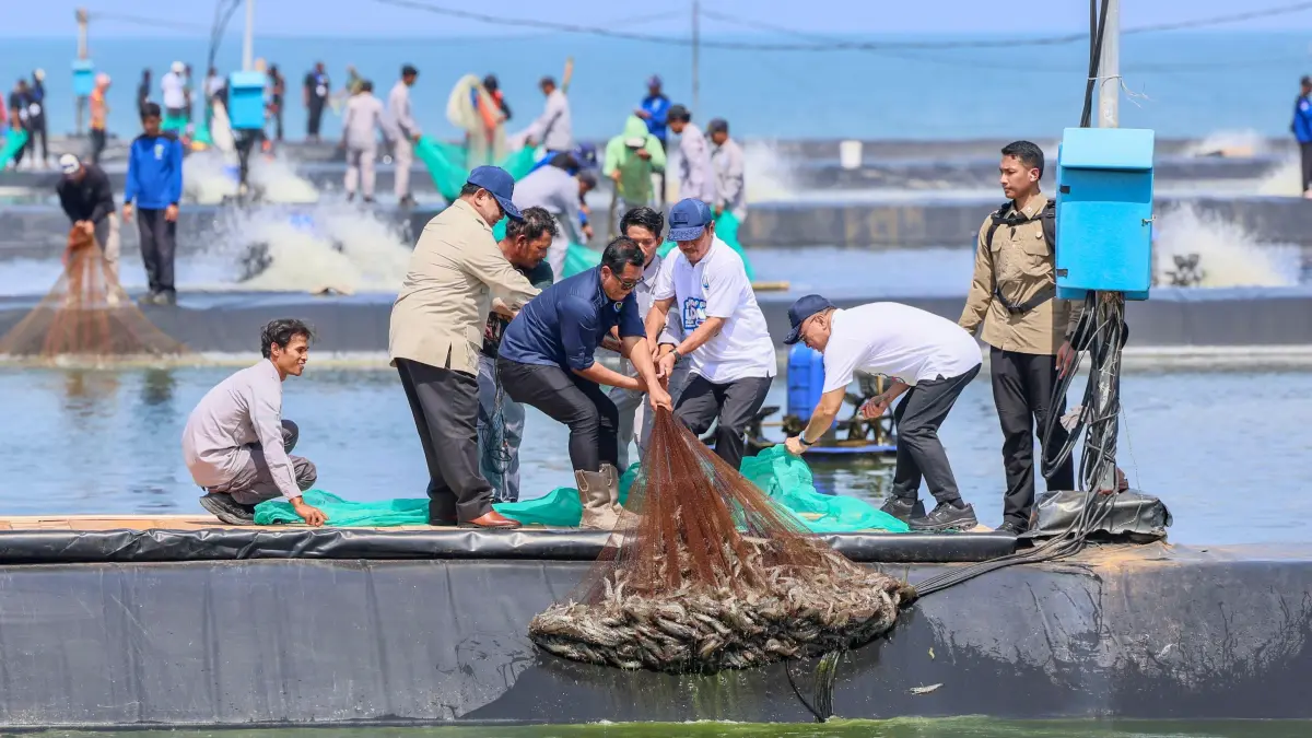 Presiden Prabowo Subianto didampingi Gubernur Jawa Tengah Ahmad Luthfi bersama sejumlah menteti panen raya udang di Tambak Budi Daya Udang Berbasis Kawasan (BUBK) Desa Tegalretno, Kecamatan Petanahan, Kabupaten Kebumen, Jumat (23/5/2026).&nbsp;