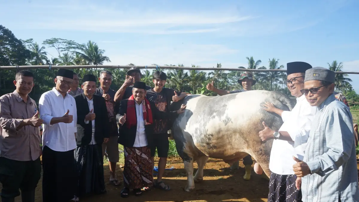Bupati Wonosobo Afif Nurhidayat menyerahkan sapi kurban bantuan dari Presiden Prabowo di Dusun Sirembes, Desa Kaliwuluh, Kepil, Rabu (27/5/2026). 