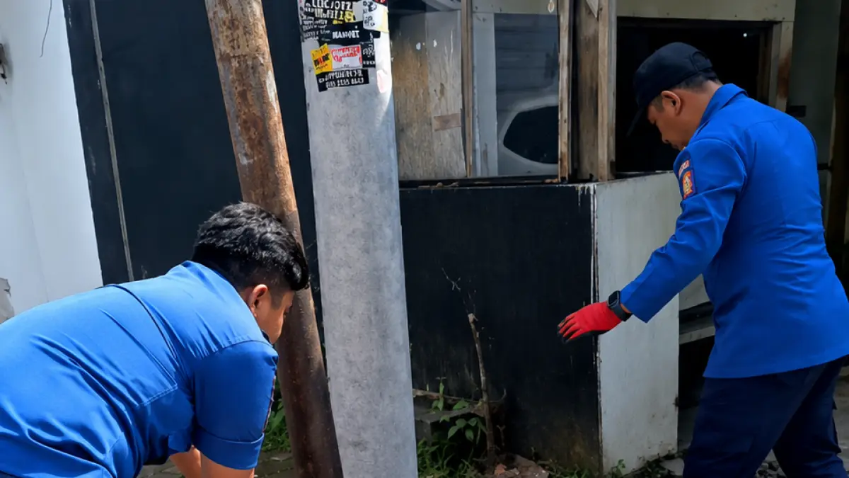 Proses penangkapan ular sanca yang dilakukan oleh petugas Damkar Wonosobo, Kamis (18/6/2026). (Istimewa)