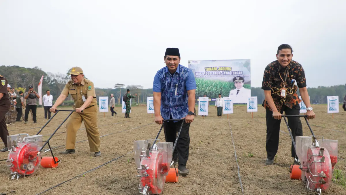 Wagub Jateng Taj Yasin menanam jagung di lahan tidur seluas 57 hektare di Desa Bandingan, Kecamatan Bawang, Kabupaten Banjarnegara milik Indobesua Power, Selasa (14/7/2026).