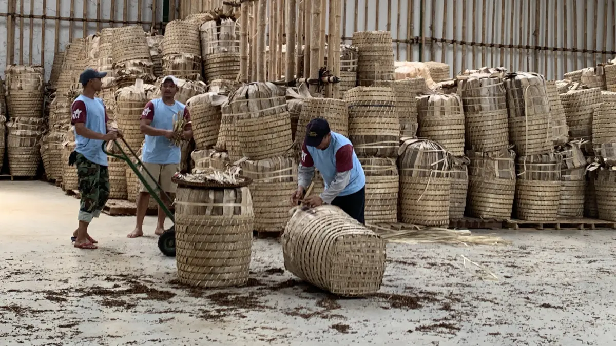 

Buruh tembakau saat bekerja di salah satu gudang di Temanggung. Panen tahun ini diproyeksikan semua terserap industri. (Devi Khofifatur Rizqi/Jawa Pos Radar Magelang)

&nbsp;