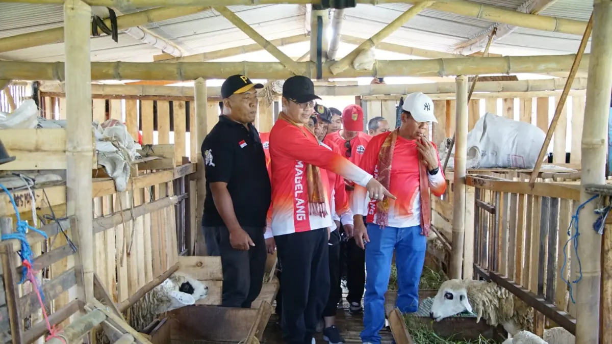 Di sela gowes, Bupati Magelang Grengseng Pamuji diajak warga melihat peternakan kambing, Minggu (2/8/2026).&nbsp;