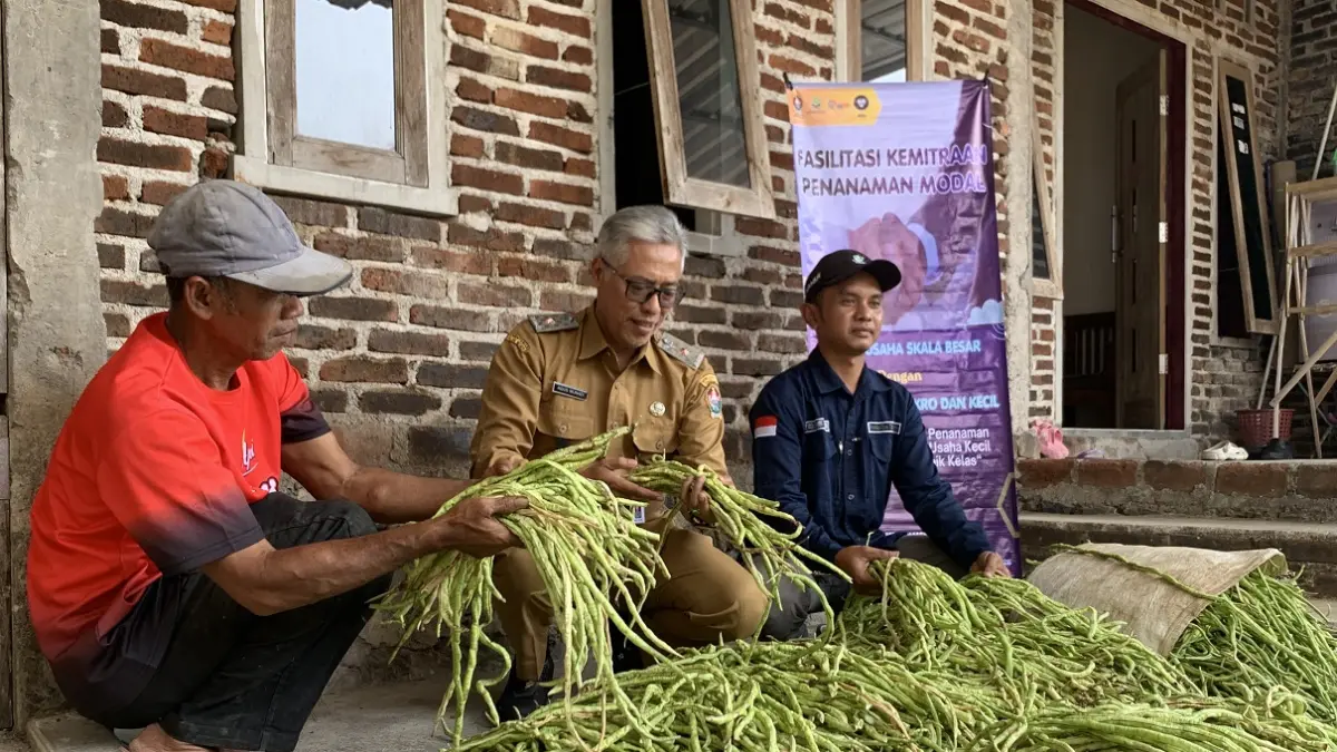 DPMPTSP Temanggung meninjau hasil panen pertanian lewat kemitraan perusahaan sebagai upaya peningkatan investasi. (Devi Khofifatur Rizqi/Jawa Pos Radar Magelang)