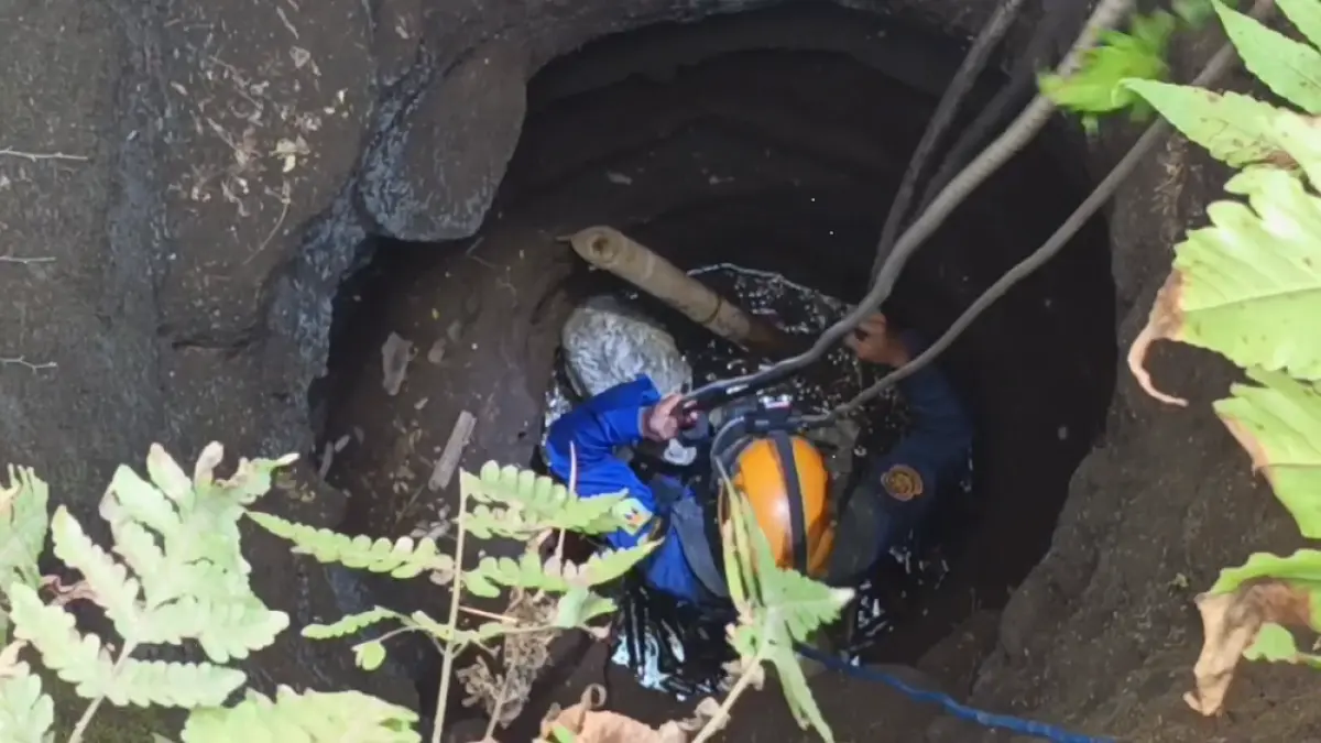Petugas Damkar Kabupaten Magelang saat turun ke dasar sumur untuk mengevakuasi anak kambing yang jatuh ke dalam sumur 10 meter.