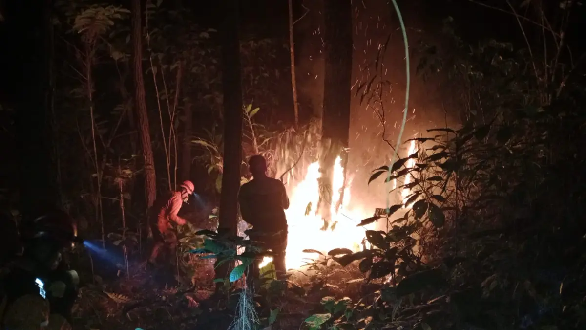 Petugas berusaha memadamkan api yang menghanguskan hutan Beser Desa Kemiriombo Kecamatan Kaliwiro, Selasa (4/8/2026) sore. (Istimewa)