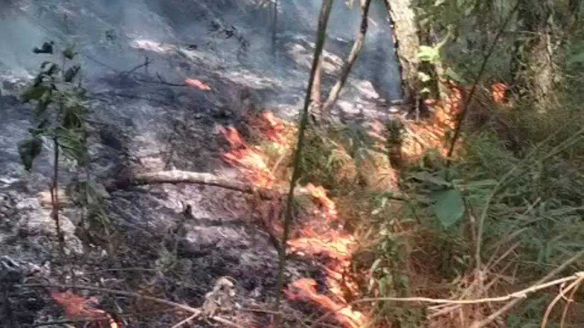 Hutan di kawasan Gunung Andong masih membara.