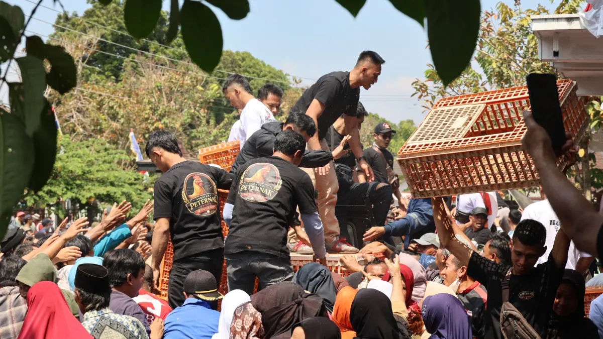 Peternak yang tergabung dalam Asosiasi Peternak Layer Kabupaten Wonosobo unjuk rasa dan membagikan ratusan ekor ayam pada warga, Senin (10/8/2026) di depan Gedung DPRD Wonosobo. (Sigit Rahmanto/Jawa Pos Radar Magelang)