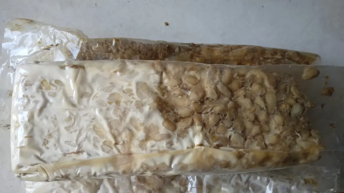 Tempe yang sudah lama disimpan biasanya akan berubah warna dan memiliki aroma yang khas, itulah yang dinamakan tempe semangit, nama semangit berasal dari bahasa Jawa sangit yang artinya beraroma menyengat. 