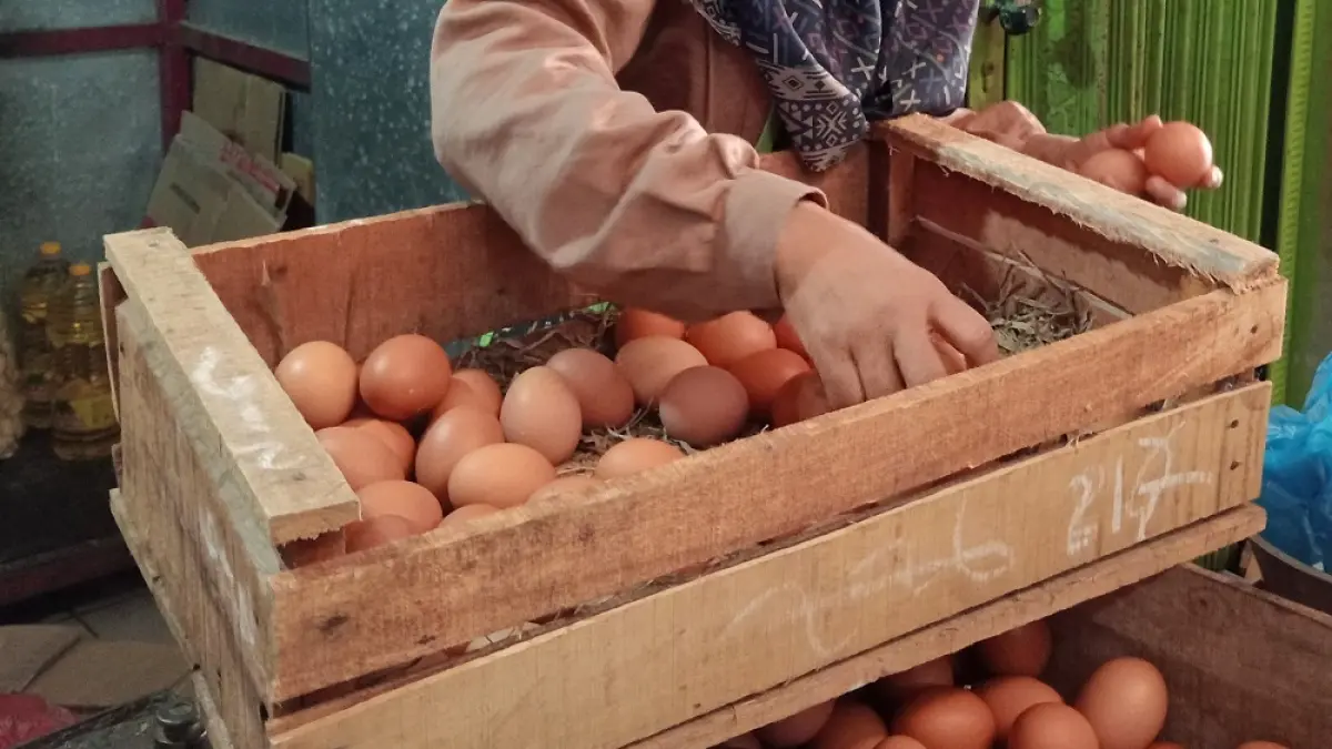 Telur menjadi alternatif utama ketika makan nggak punya lauk. (DITA NURUL AZIZAH/JAWA POS RADAR MAGELANG)