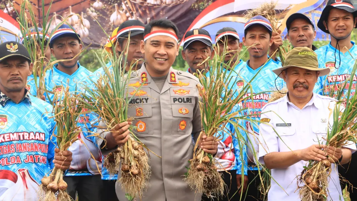 Kapolres Wonosobo AKBP Ricky Pripurna Atmaja bersama Kepala Dispapaperkan Dwiyama SB panen bawang putih di Desa Serang, Kecamatan Kejajar, Wonosobo, kemarin (19/8/2026). (Istimewa)