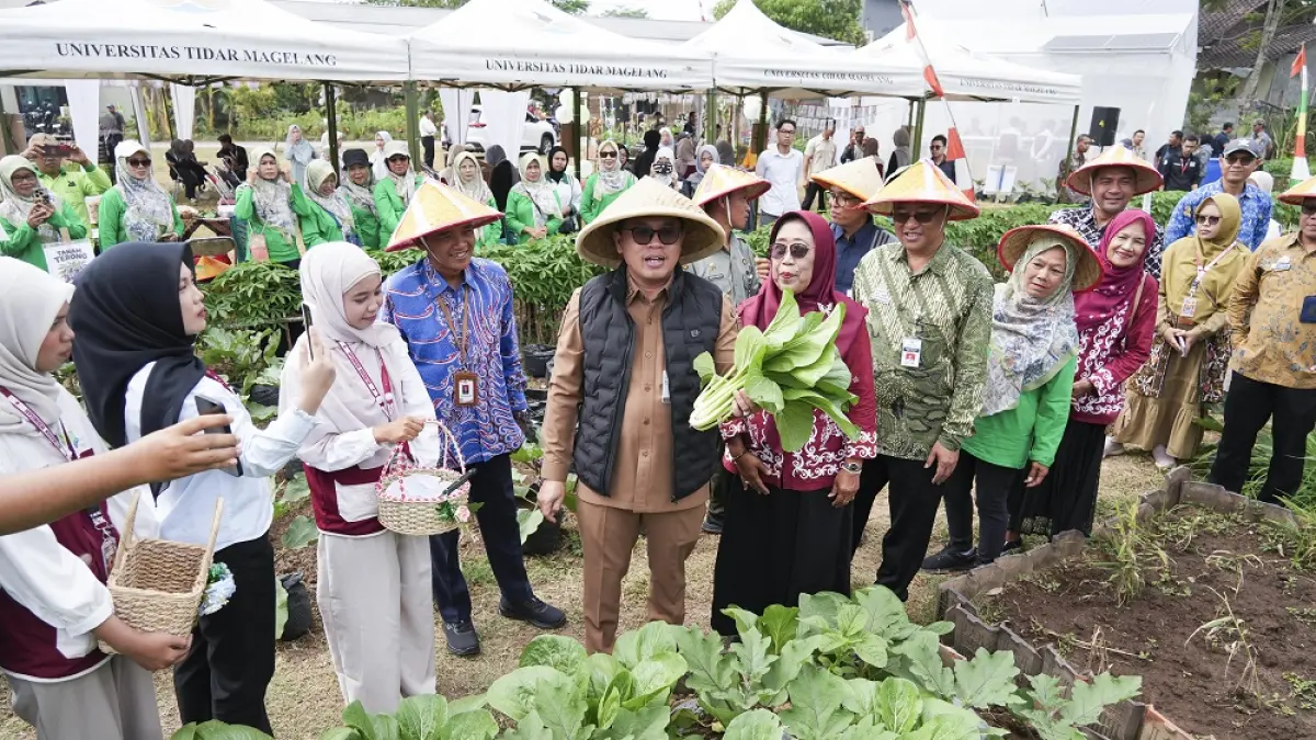 Wali Kota Magelang Damar Prasetyono saat panen raya di Smart Greenhouse Aquaponik Lapangan Multiguna Kedungsari, Kecamatan Magelang Utara, Kota Magelang, Kamis (20/8/2026).