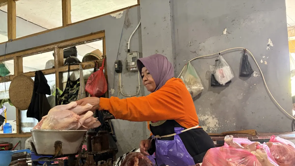 Pedagang daging ayam di Pasar Kliwon Temanggung, Senin (24/8) sedang menata dagangannya. (Devi Khofifatur Rizqi/Jawa Pos Radar Magelang)
