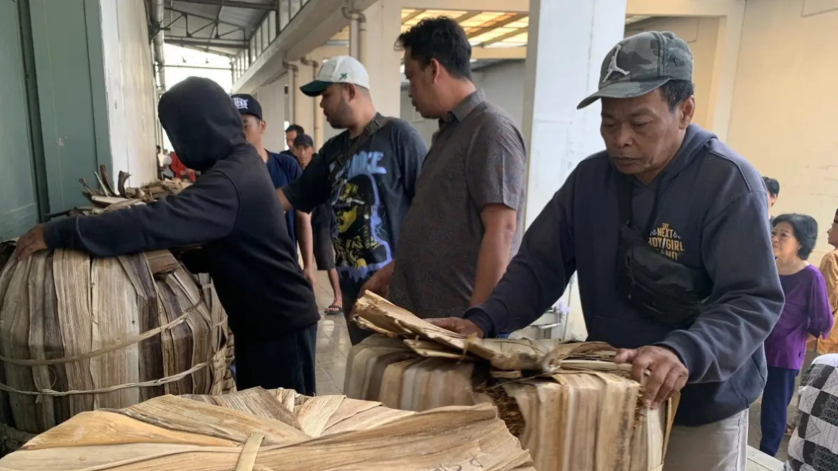 Pekerja sedang menata tembakau di keranjang. Pada musim panen tahun ini, harga tembakau menunjukkan tren baik. (Devi Khofifatur Rizqi/Jawa Pos Radar Magelang)