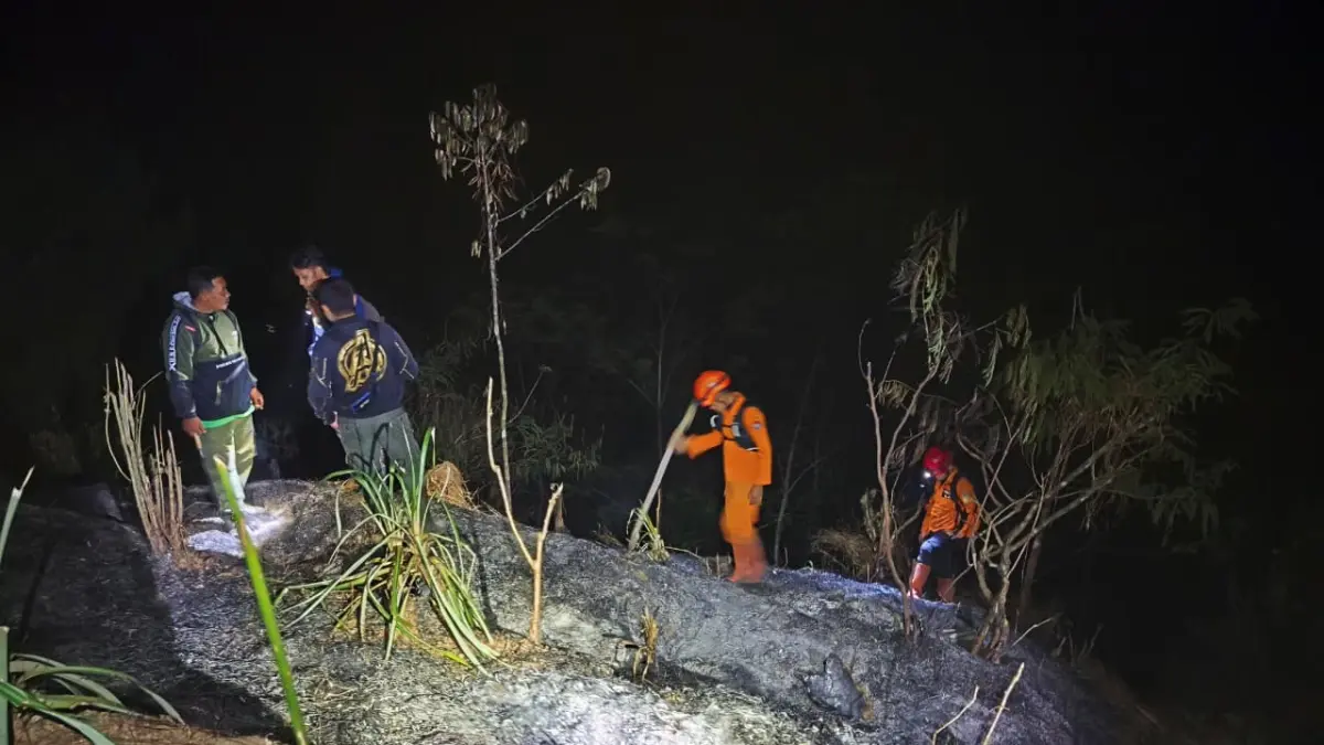 Petugas gabungan memadamkan api yang membakar hutan. Selama kemarau ini sudah 14 kali kebakaran terjadi di kawasan lahan dan hutan Wonosobo. (Istimewa)