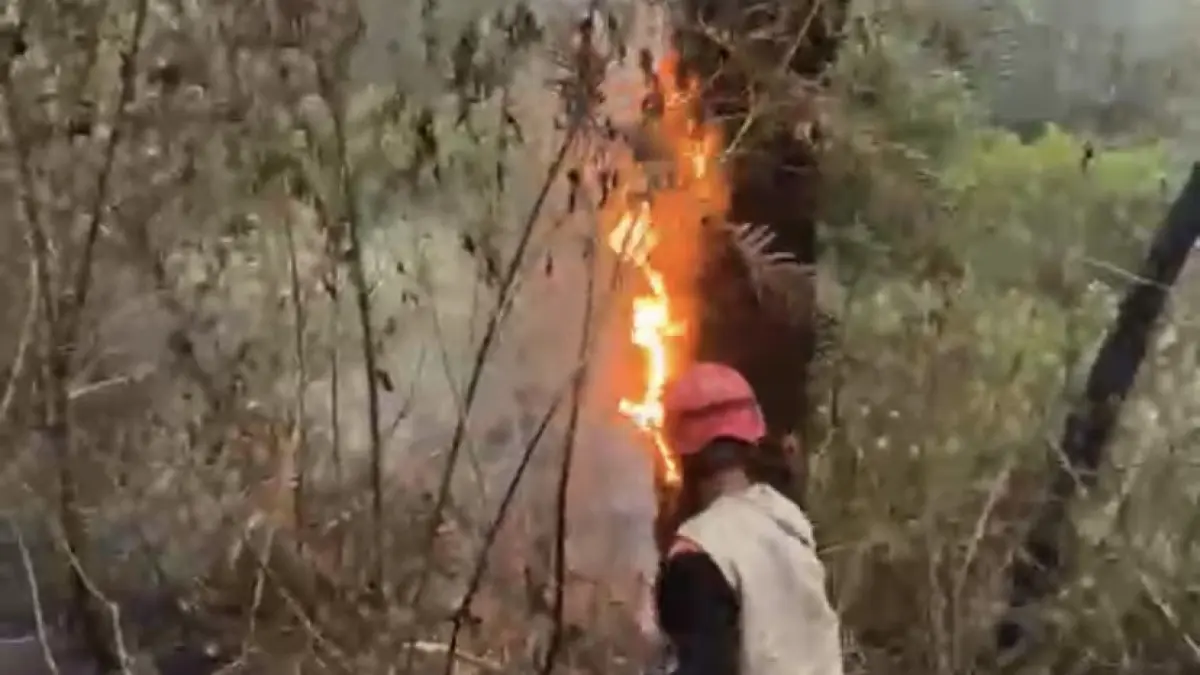 Personel gabungan saat memadamkan titik api di lereng gunung di Temanggung. (Istimewa)