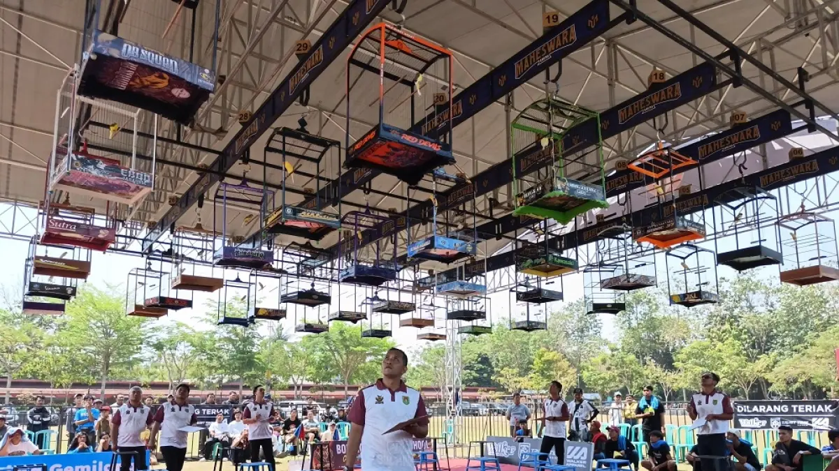 Penjurian Lomba Burung Berkicau Piala Bupati Magelang 2026 di Lapangan drh. Soepardi, Mungkid. (ROFIK SYARIF/ JAWAPOS RADAR MAGELANG)