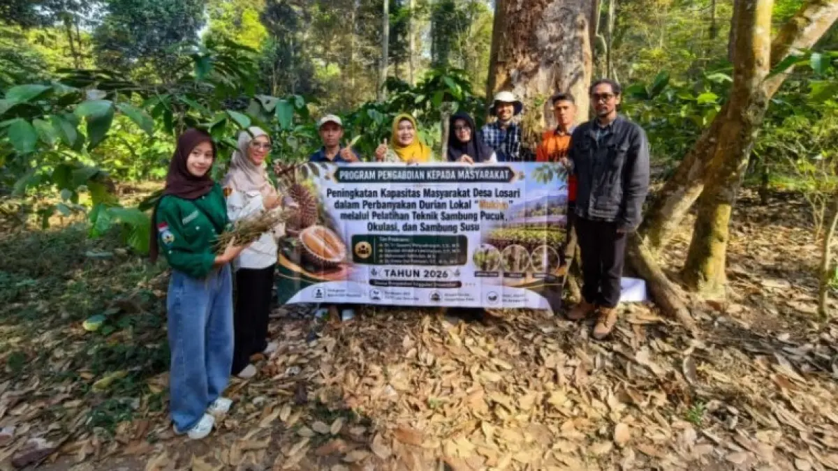 Tim Pengabdian Unggulan Universitas (PUU) dari Fakultas Pertanian Universitas Tidar (Untidar) mengadakan program pendampingan pelestarian dan pengembangan potensi hortikultura lokal unggulan, durian Mukiyo di Dusun Losari, Desa Losari, Kecamatan Grabag, Kabupaten Magelang. (Dok Tim PUU Faperta Untidar).