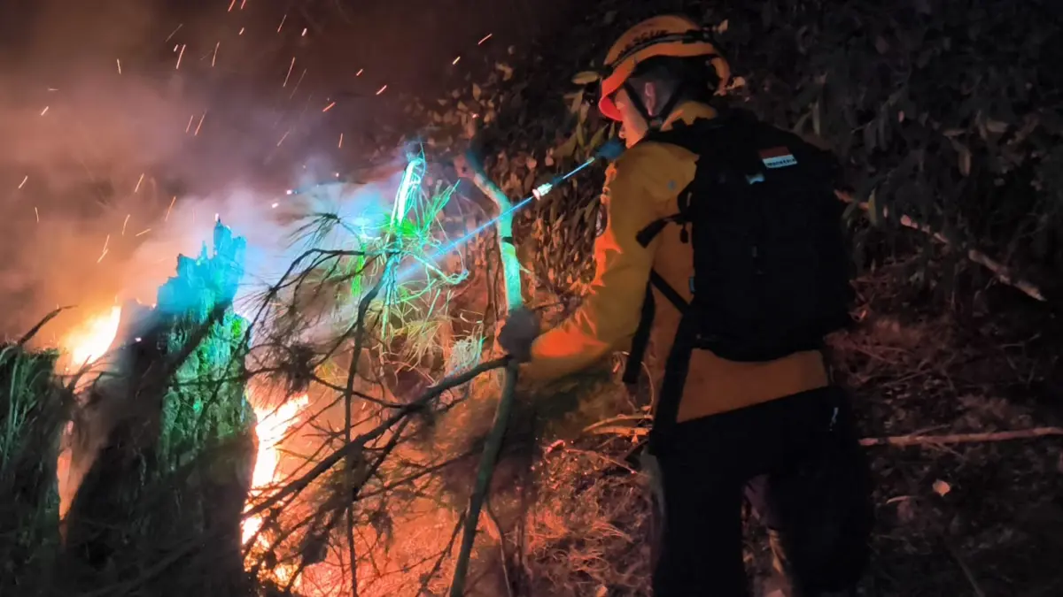 Tim berupaya memadamkan api yang membakar hutan pinus Perhutani di wilayah Kaliwiro, Wonosobo sejak Selasa (22/9/2026) siang). (Istimewa)