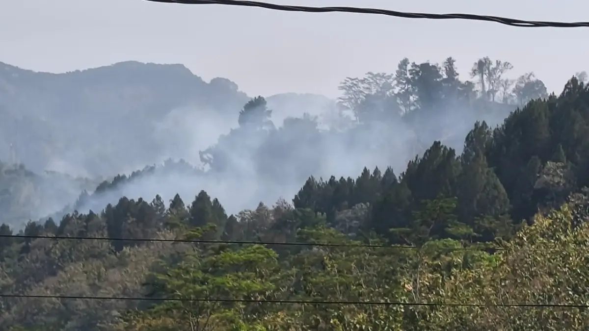 Asap mengepul di kawasan hutan Kaliguwo, Kecamatan Kaliwiro, Wonosobo. (Istimewa)