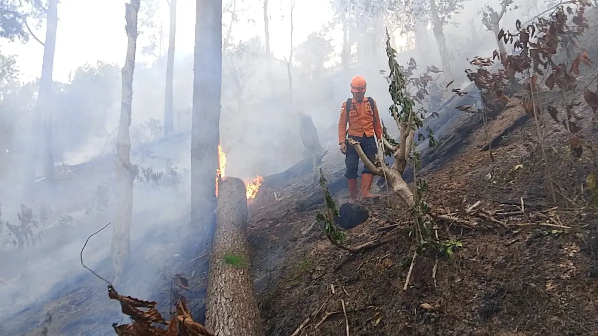 Petugas gabungan saat memadamkan kebakaran hutan dan lahan (karhutla) kawasan Bukit Blewuk.