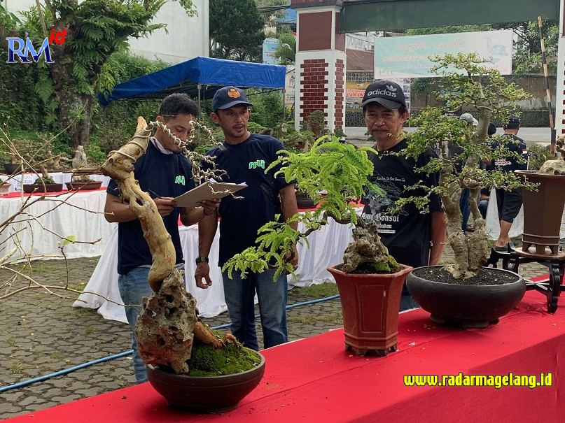 Beberapa juri saat menilai bonsai dalam kontes yang diselenggarakan komunitas Bonsai Temanggung Kota (Bonkot) di halaman Stasiun Lama Kota Temanggung Senin (16/1/2023). (ADDIN ALFATH/ JAWA POS RADAR MAGELANG)
