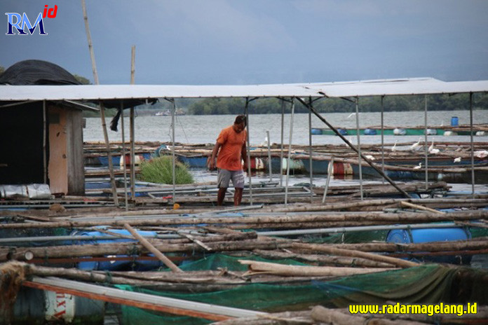 Ikan red devil kerap menyusup ke dalam karamba di Waduk Gajah Mungkur dan memangsa anakan ikan nila. (IWAN ADI LUHUNG/RADAR SOLO)