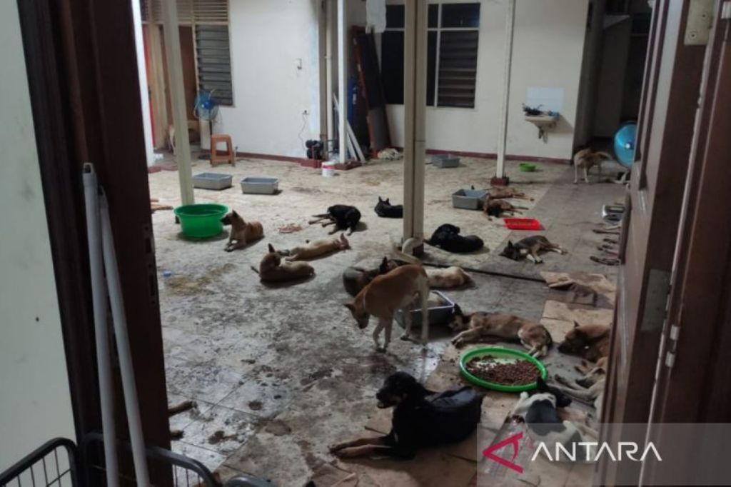 FOTO ILUSTRASI: Penampakan penampungan anjing di Semarang, Jawa Tengah. (IMMANUEL CITRA SENJAYA/ANTARA)