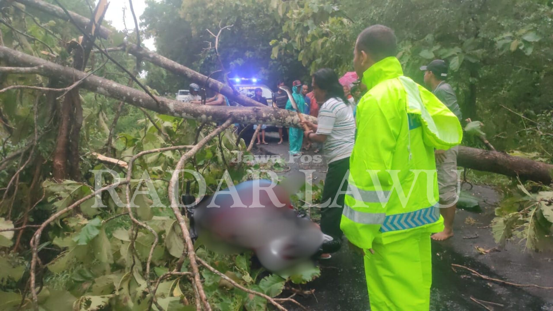 TABRAK POHON TUMBANG: Seorang warga menjadi korban jiwa akibat pohon tumbang di Kecamatan Karanganyar, Ngawi Kamis sore kemarin (24/1).