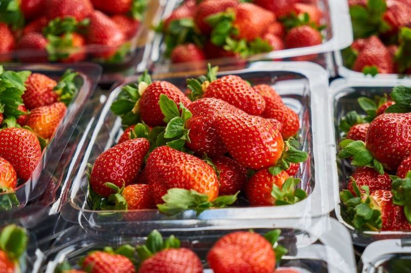 Buah strawberry menjadi oleh-oleh khas Sarangan, Magetan, strawberry kaya kandungan yang baik untuk kesehatan tubuh. (ENGIN AKYURT VIA PEXELS)