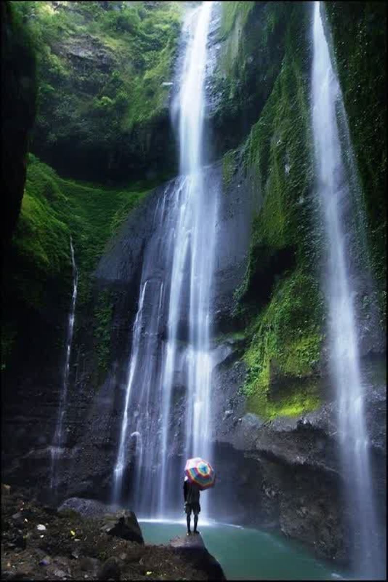 Air Terjun Madakaripura. (PINTEREST)