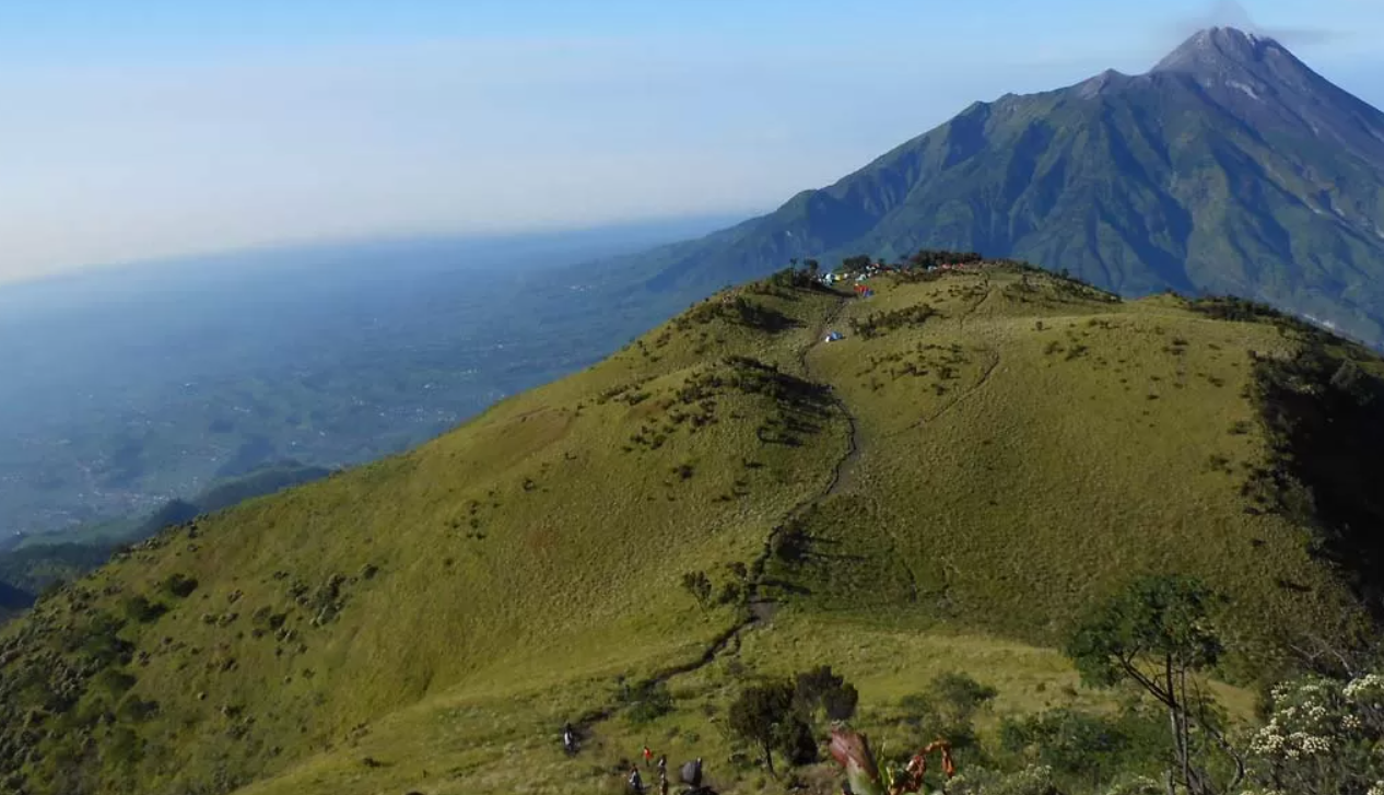 MEMUKAU: Pemandangan indah tersaji di sepanjang jalur pendakian Gunung Merbabu. (JAWAPOS.COM)