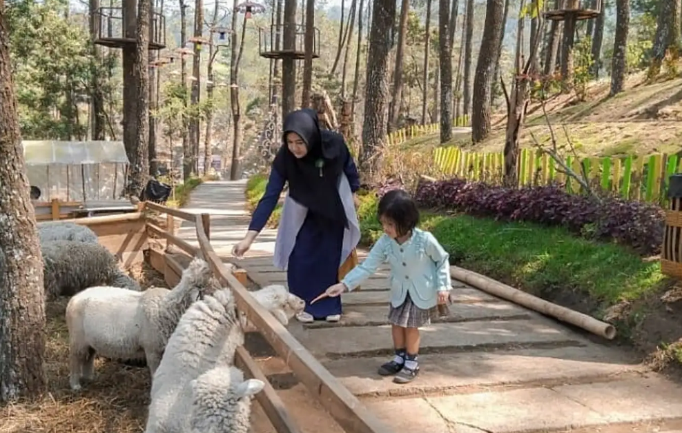 ASYIK: Mini zoo di The Lawu Park, Tawangmangu, Karanganyar. (TRAVELOKA)