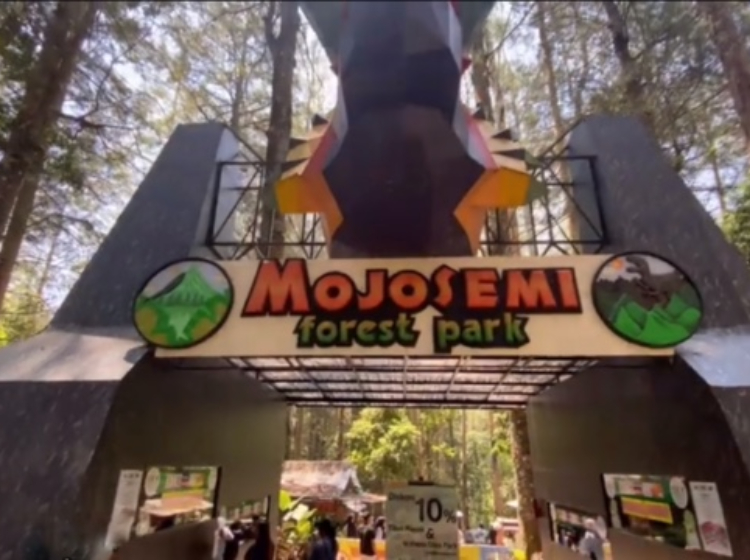 Mojosemi Forest Park