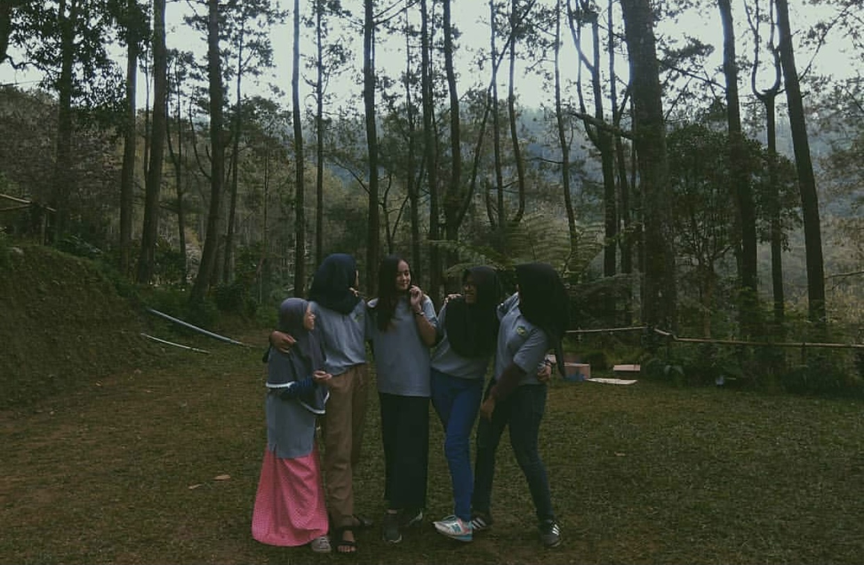 Kampung Pinus Sarangan