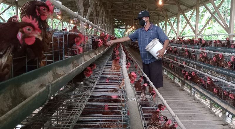 PECAH REKOR: Kenaikan harga telur ayam di Pacitan seiring momen bulan ramadan tahun ini. (NUR CAHYONO/ JAWApOS RADAR PACITAN)