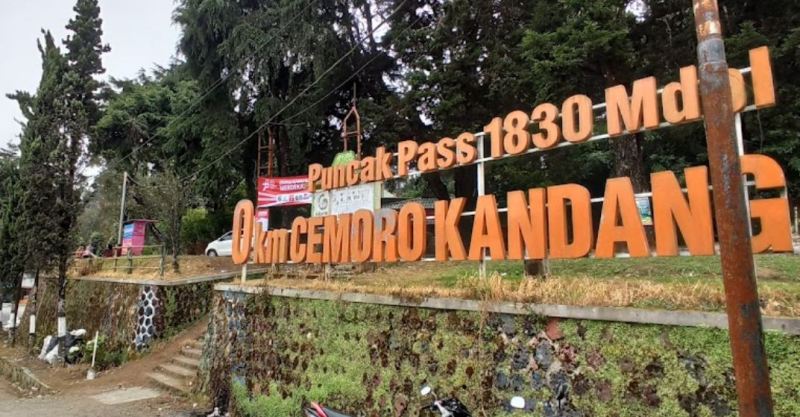 Cemara Kandang. (CAPTURE)