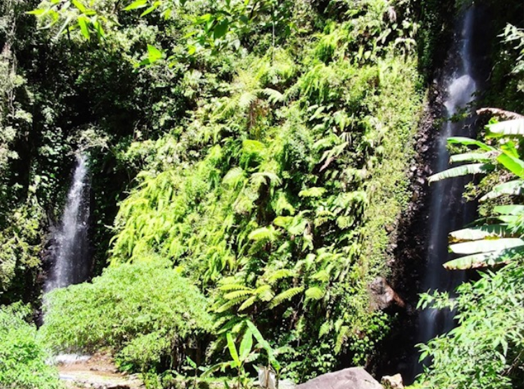 Keindahan Air Terjun Tirto Gumarang alias Air Terjun Kembar