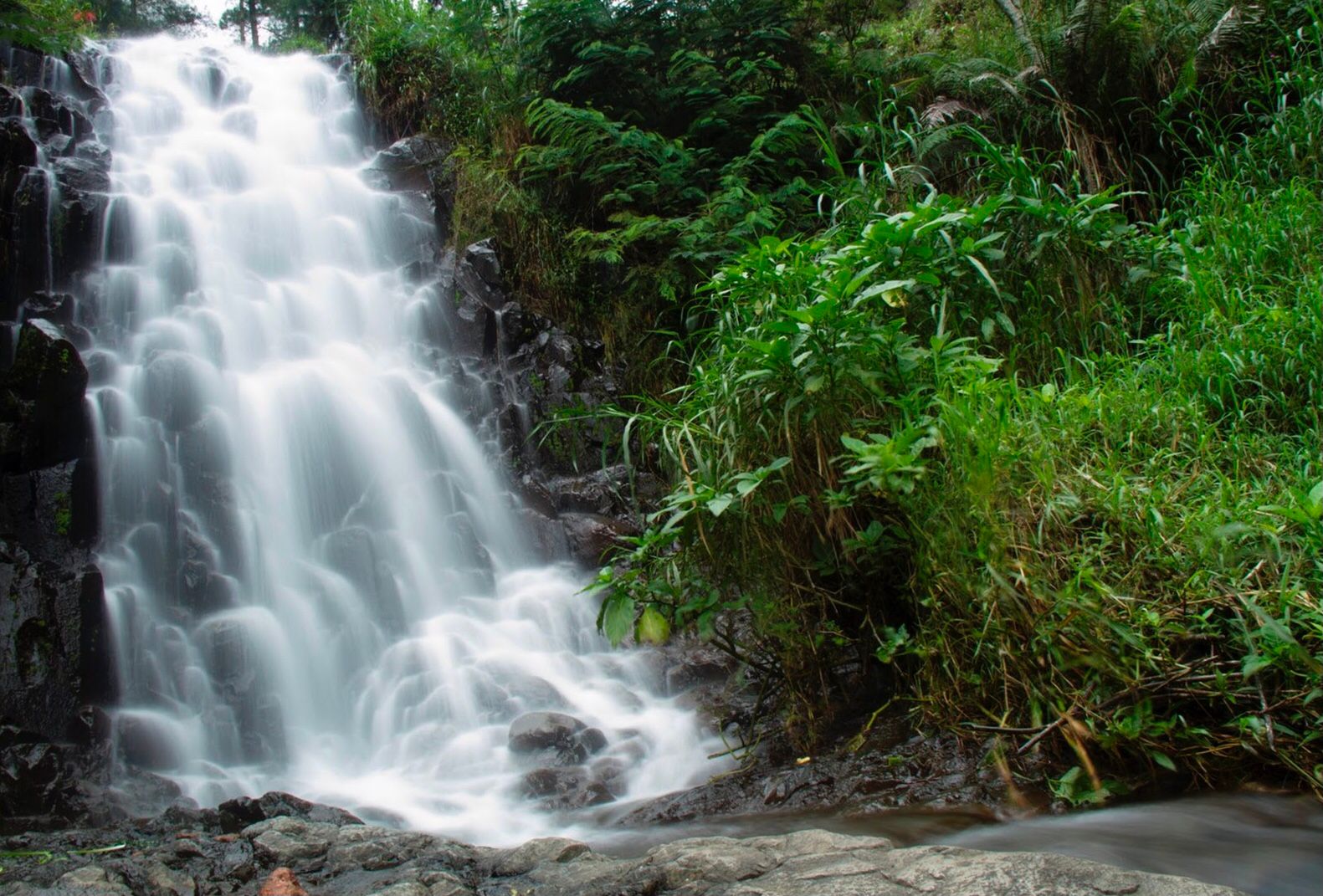 Pesona Indah Air Terjun Pundak Kiwo