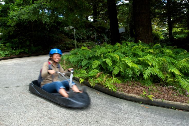 foto ilustrasi Luge Kart (pinterest)