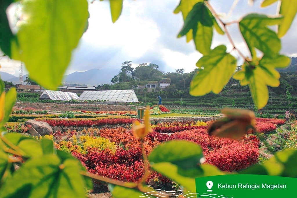 Kebun Refugia, Surga Bagi Para Pecinta Bunga