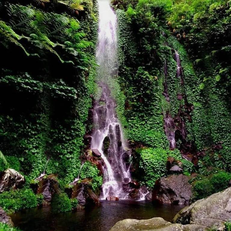 Air Terjun Suwono, Ngawi menawarkan eksotisme alam yang menakjubkan. (FB @jelajahi_ngawi)