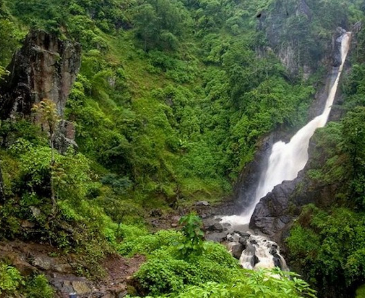 Air Terjun Pletuk Ponorogo Cocok Jadi Tujuan Wisata Saat Libur Lebaran (foto google maps : desy ratna)
