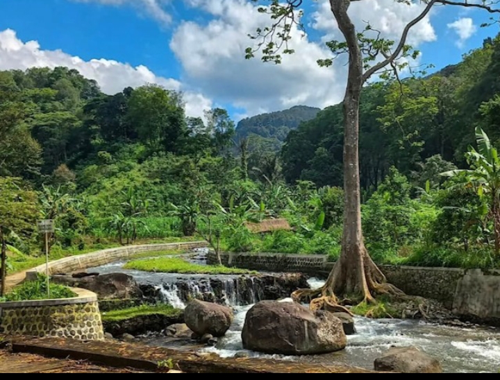 pemandangan alam disekitaran obyek wisata Hutan pinus Nongko Ijo yang menjadi wisata andalannya Kota Madiun (sumber foto ig : @madiun_info)