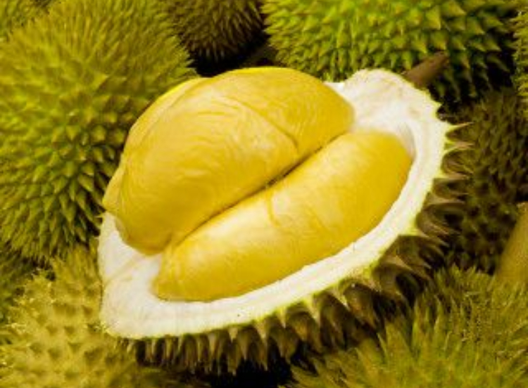 Ilustrasi buah durian (pinterest)
