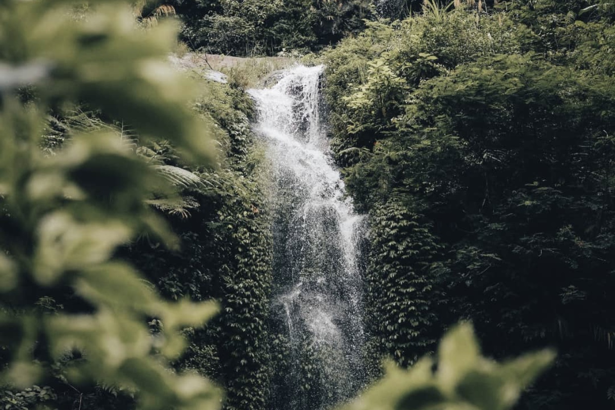 Air Terjun Suwono: (ig : @fahri_imam_syafii)