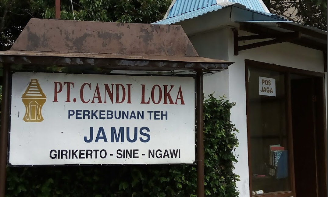 Pabrik Teh Jamus ini juga merupakan salah satu warisan peninggalan kolonial Belanda didirikan pada tahun 1928 dan masih eksis hingga sekarang.