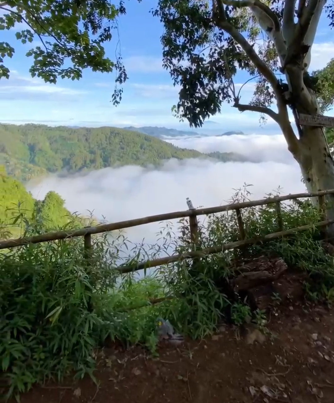 Sensasi ngopi syahdu di atas awan, terletak di tepi Jalan Raya Slahung-Ngrayun, masuk dusun Batu, Desa/Kec. Slahung, Ponorogo. (NUR WACHID)