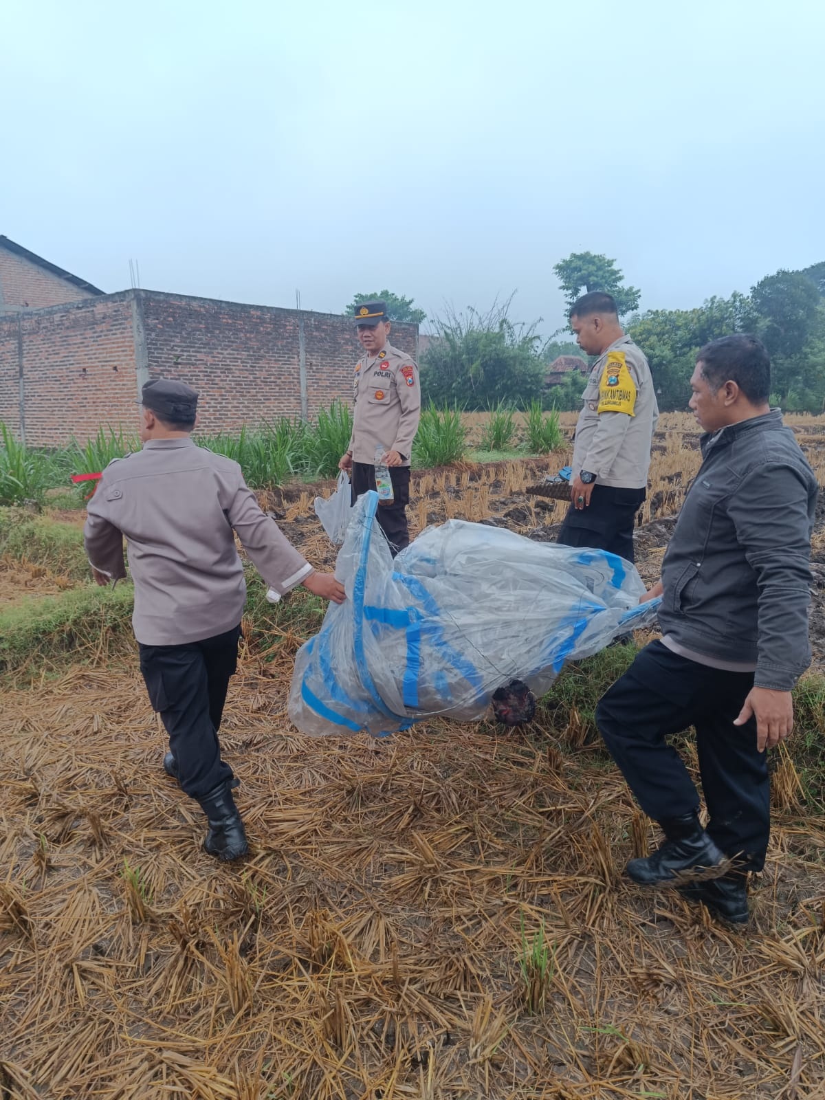 PUNYA SIAPA INI: Petugas Polsek Sukorejo mengamankan balon udara yang mendarat di sawah kawasan Sukorejo Minggu (14/4) lalu. (POLRES UNTUK JAWA POS RADAR PONOROGO)