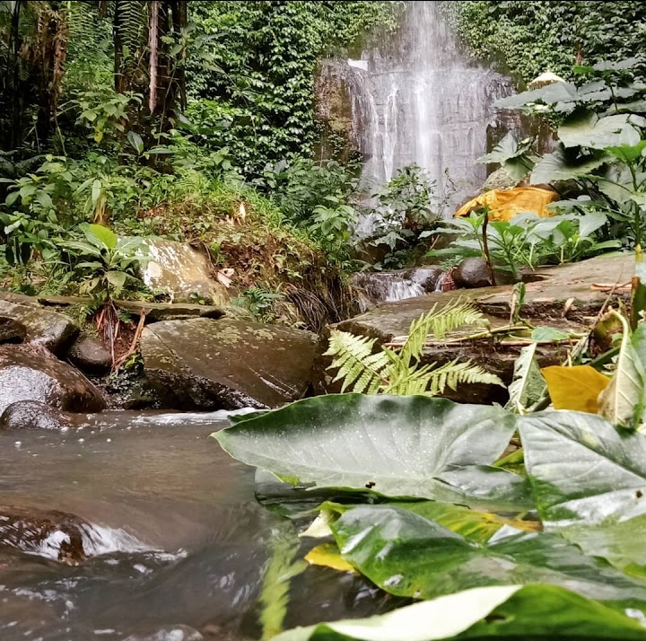 Obyek wisata di madiun, Air Terjun Kucur (google maps: Febry Yumadha)