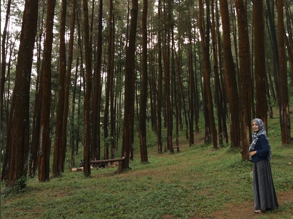 Sekar Arum Camp Kare ( foto Google Maps : Intan Nick)